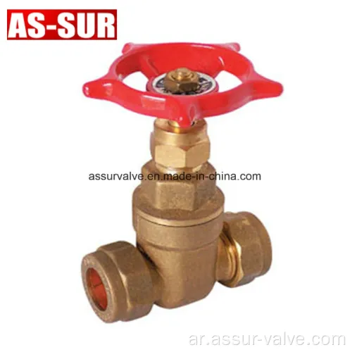 PEX PIPE BRASS GATE VALVE مع اتصال